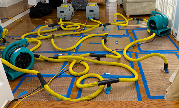 Professional Water Damage Restoration technician working in Northbrook, OH